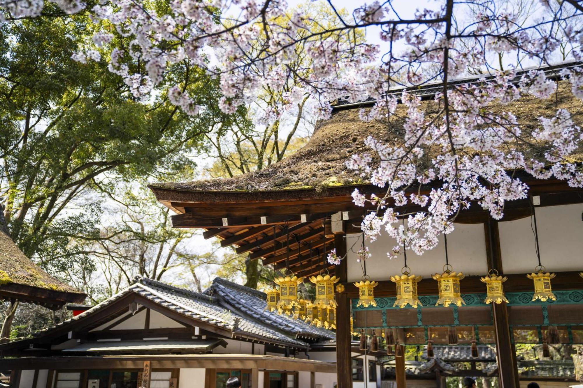 Kamo Residences By Reflections Kyoto Dış mekan fotoğraf