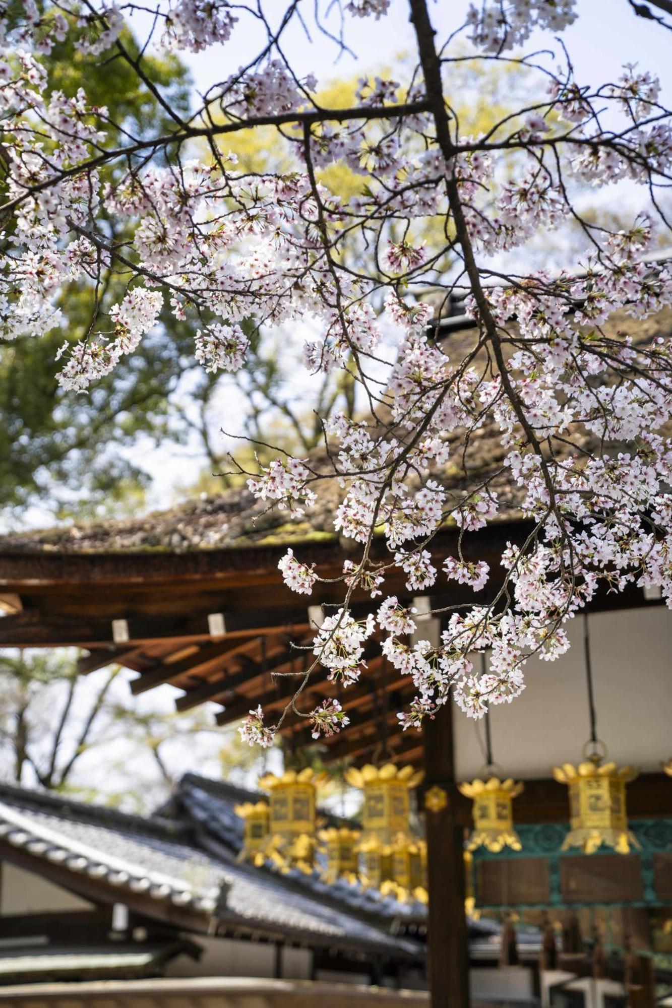Kamo Residences By Reflections Kyoto Dış mekan fotoğraf